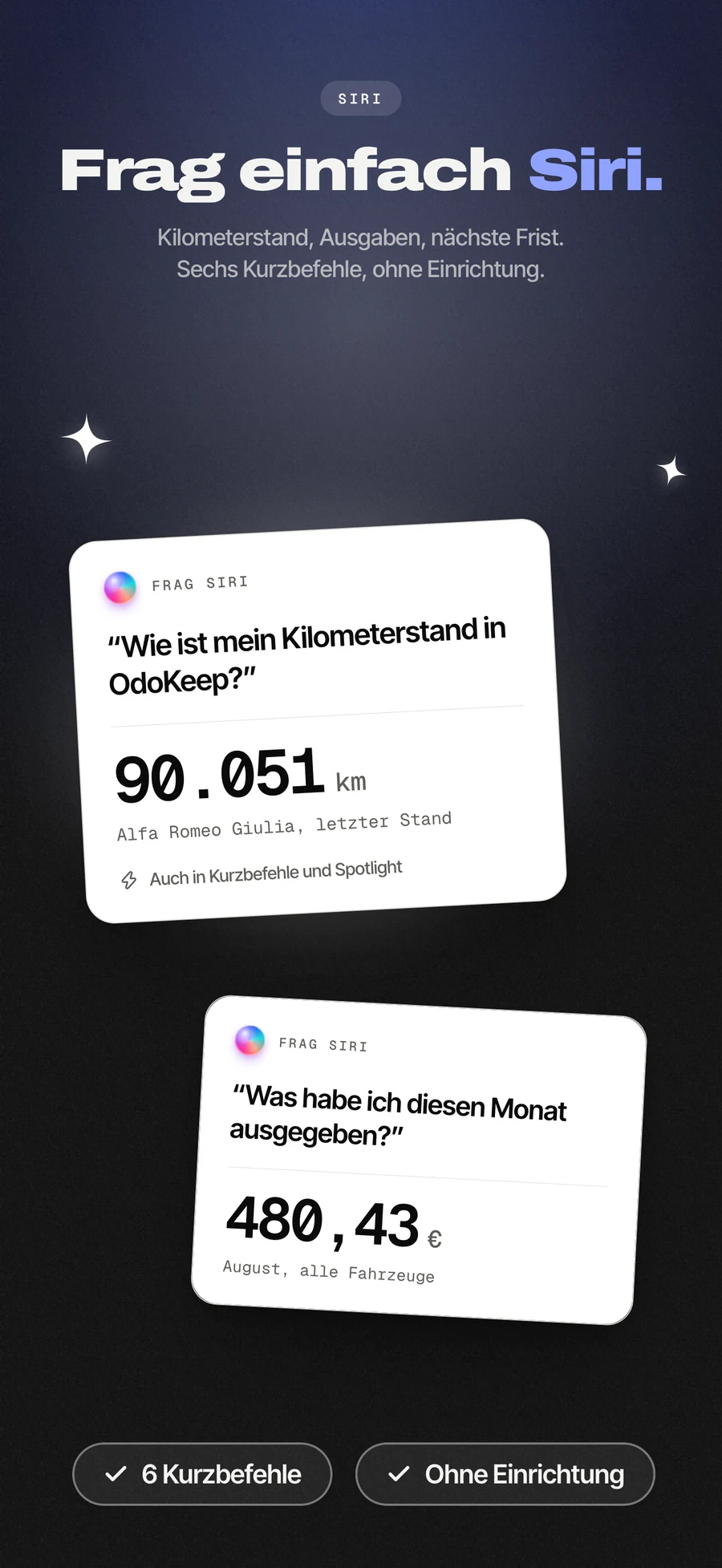 App-Store-Panel: eine Tankfüllung per Siri erfassen.