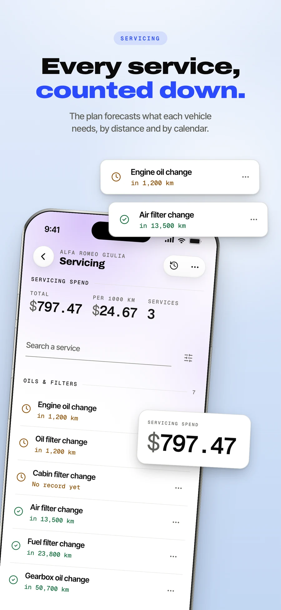 App Store panel: the servicing plan counting down to the next service.