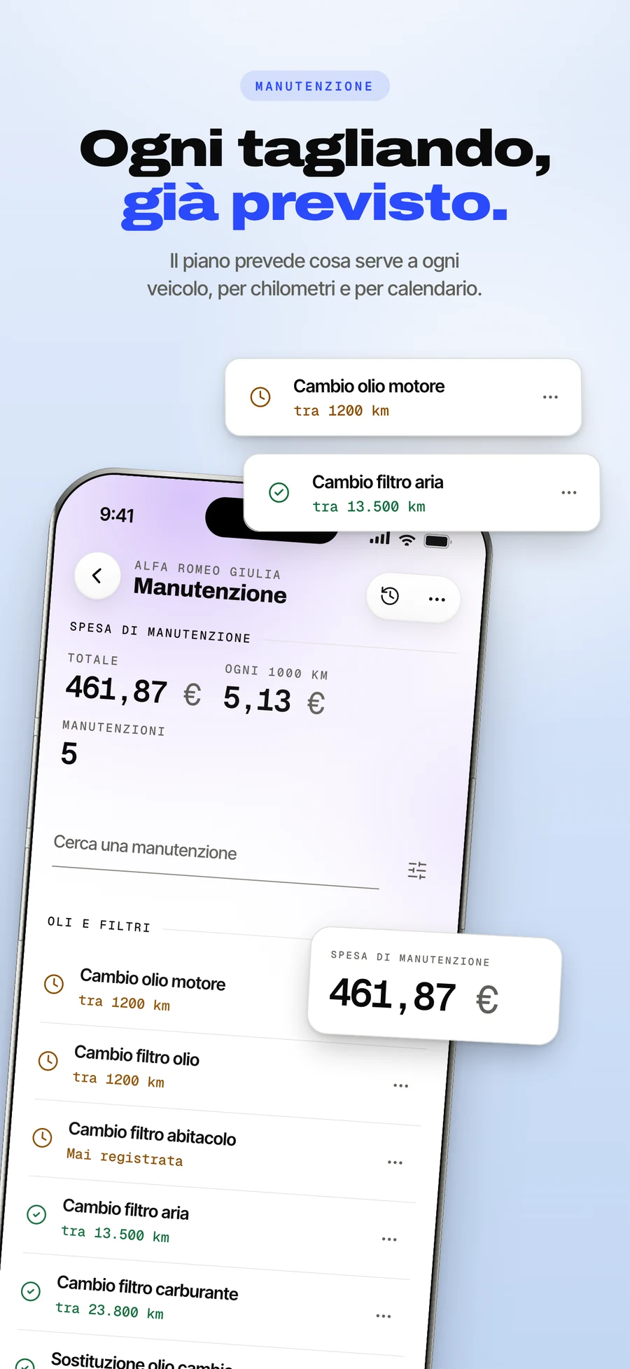 Pannello dell'App Store: il piano di manutenzione con il conto alla rovescia per il prossimo tagliando.